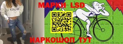стаф Новокубанск