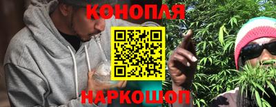 стаф Новокубанск