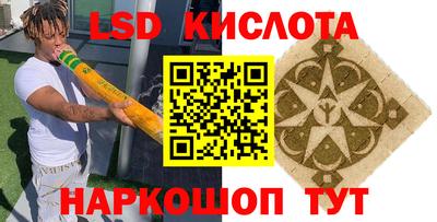 стаф Новокубанск
