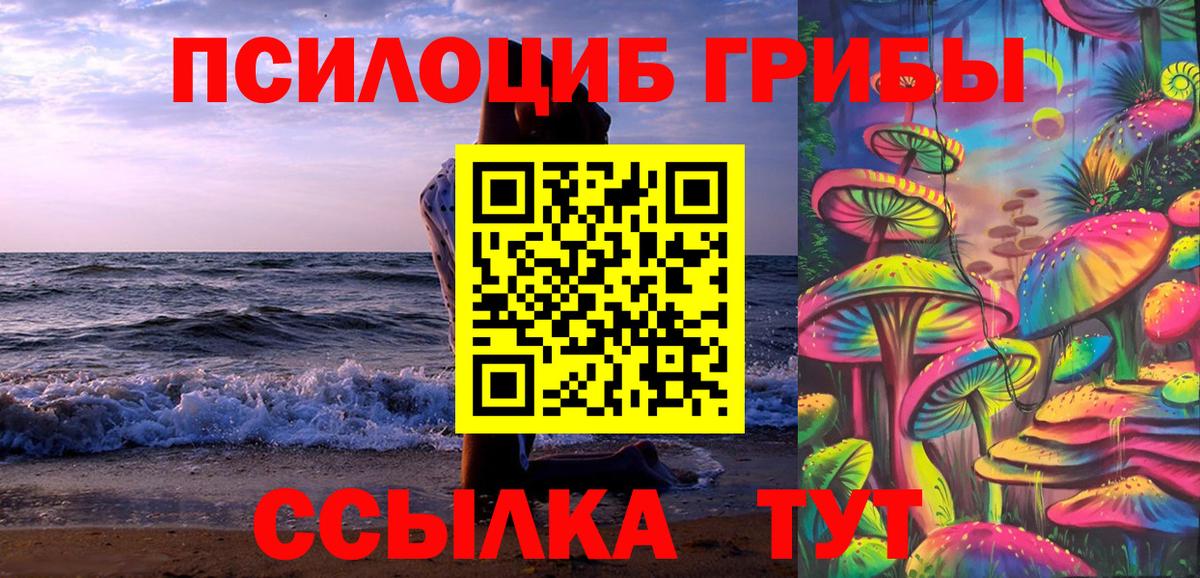 Заринск  Галлюциногенные грибы Psilocybine cubensis  Вход с VPN  купить наркотики сайты  Псилоцибиновые грибы мухоморы 